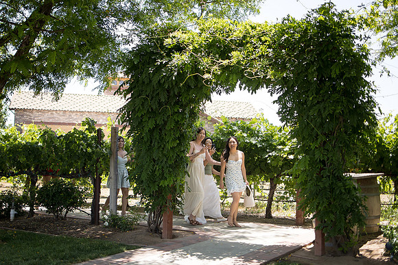 nina les orange county wedding photographer lorimar temecula winery surprise proposal-29