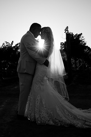 Leoness Temecula Winery Wedding by Orange County Photographer, Leatha & Mark-279