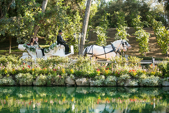 wedding-photo-in-temecula-lake-oak-meadows-by-photographer-of-photoquest-studio (3)