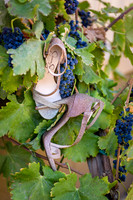 Wedding Photo at Wiens Family Cellars by Photoquest Studio, Temecula Wedding Photographer - Samantha & Joe-7