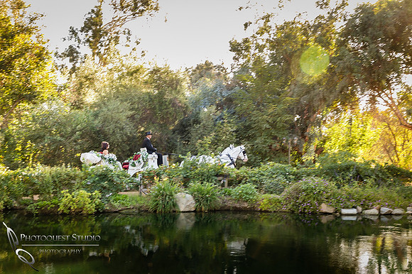 horse carriage at temecula wedding