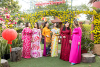 lunar new year viet tet photo orange county los angeles temecula riverside wedding photographer (4)