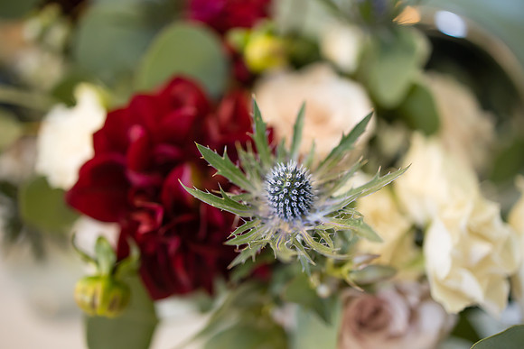 Temecula Wedding Photographer at Avensole Winery, Haley & Tristian-21