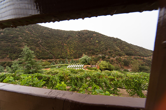 Wedding Photos at Serendipity Garden Weddings - Sandra and Robert-167