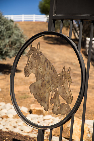 Temecula Wedding Photographer at Private Residence Wedding in La Cresta, Shae & Justin-6