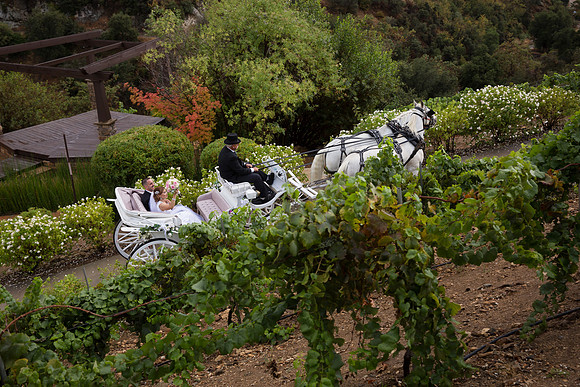 Wedding Photos at Serendipity Garden Weddings - Sandra and Robert-366