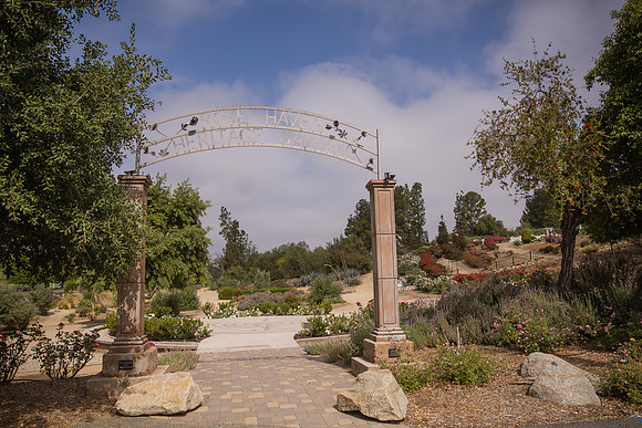 Rose Haven Heritage Garden Wedding Photo, Temecula, Orange County Photographer-1
