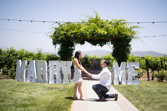 nina les orange county wedding photographer lorimar temecula winery surprise proposal-51