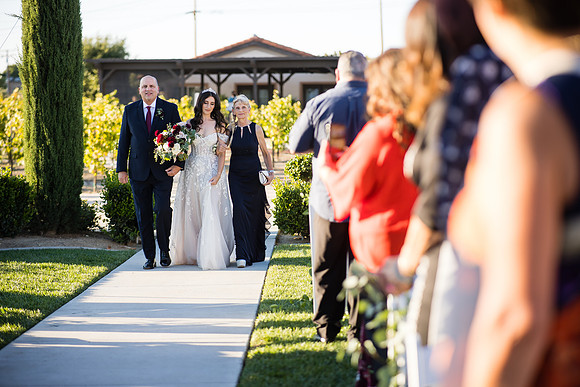 Temecula Wedding Photographer at Avensole Winery, Haley & Tristian-393