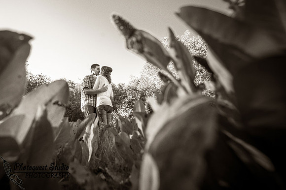 Temecula Wedding Photographer captured romantic outdoor Engagement photos with dog by Natural Light in Fallbrook, San Diego