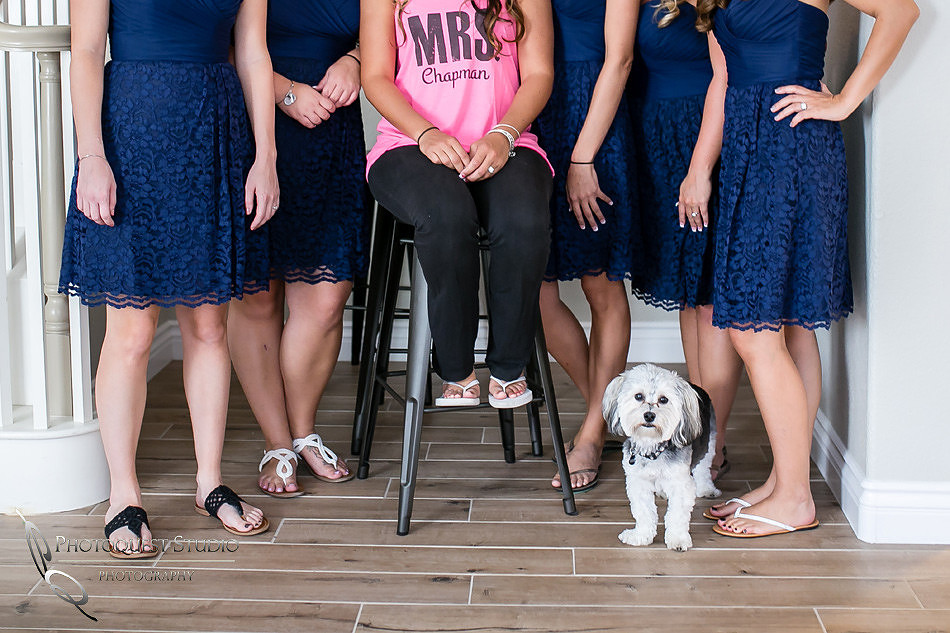 Dog, Furry Friend by Temecula Wedding Photographer