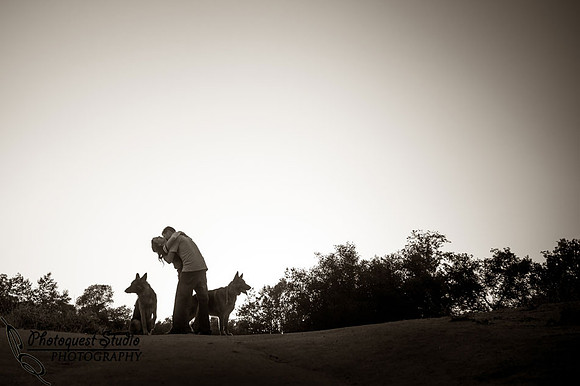 Temecula Wedding Photographer captured romantic outdoor Engagement photos with dog by Natural Light in Fallbrook, San Diego