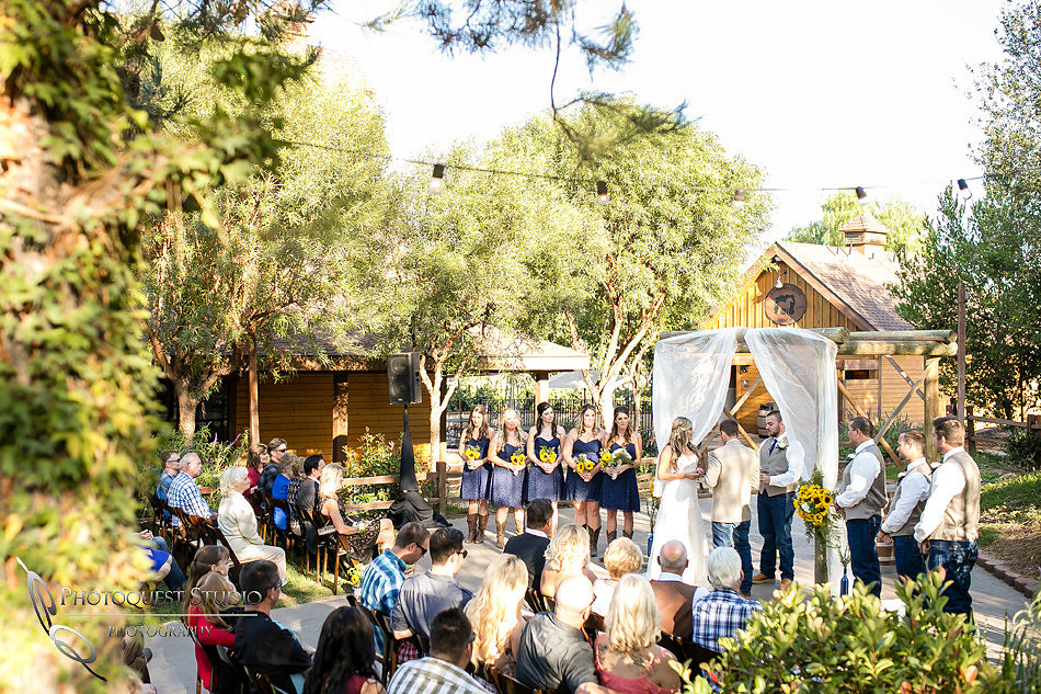 Wedding at Longshadow Ranch Winery by Temecula Wedding Photographer (36)