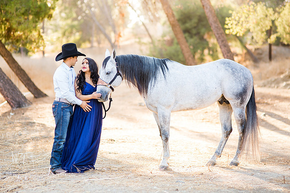maternity photo with horse by orange county los angeles temecula riverside photographer (4)