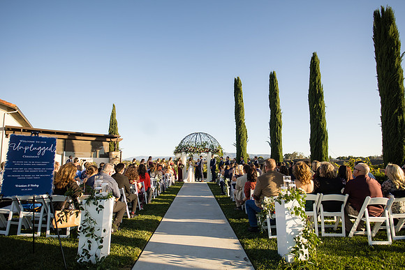 Temecula Wedding Photographer at Avensole Winery, Haley & Tristian-423