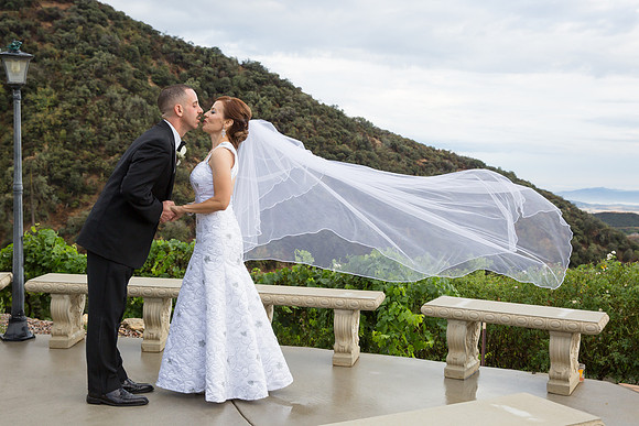 Wedding Photos at Serendipity Garden Weddings - Sandra and Robert-372