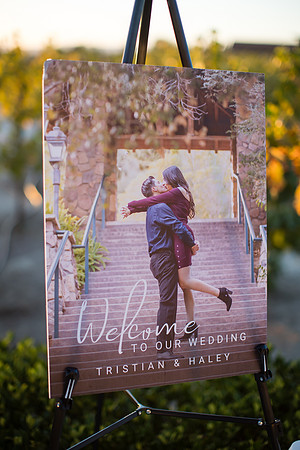 Temecula Wedding Photographer at Avensole Winery, Haley & Tristian-564