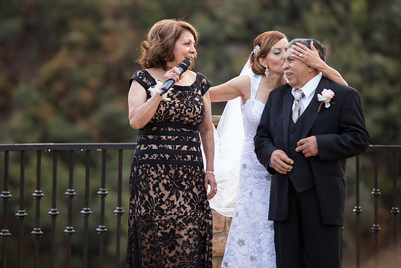 Wedding Photos at Serendipity Garden Weddings - Sandra and Robert-449