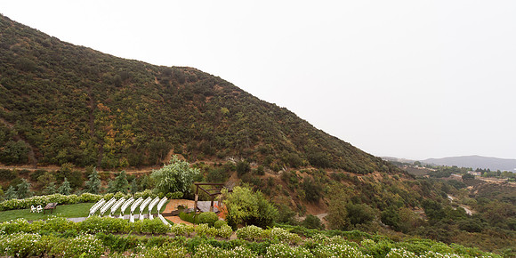 Wedding Photos at Serendipity Garden Weddings - Sandra and Robert-164