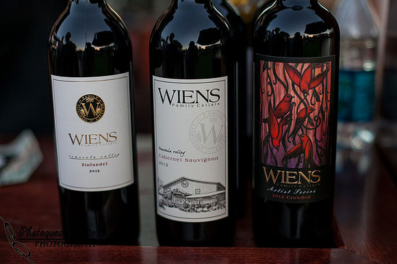 Temecula Wedding Photographer, Concert Photographer at Wiens Family Cellars Winery, The English Beat