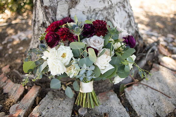 Temecula Wedding Photographer at Avensole Winery, Haley & Tristian-39