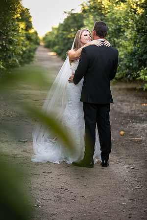 Beautiful wedding at Wiens Family Cellars Temecula Winery - Sarah & Shawn