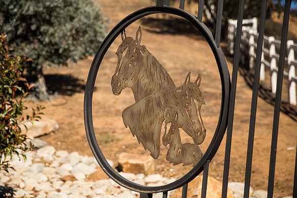 Temecula Wedding Photographer at Private Residence Wedding in La Cresta, Shae & Justin-5