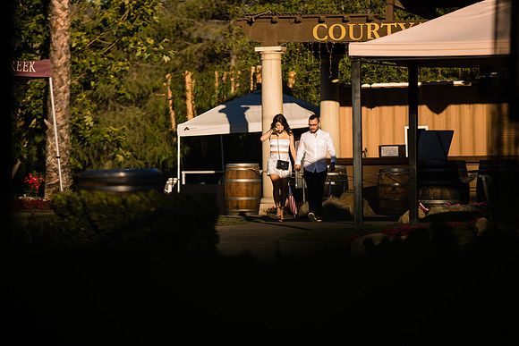Surprise Proposal, Wilson Creek, Temecula Winery Wedding Photographer, Noelle & Johnny (8)