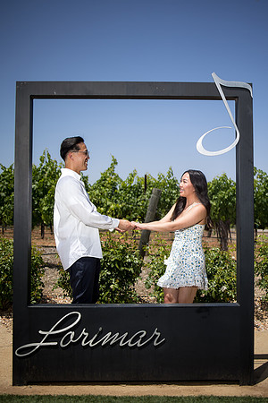 nina les orange county wedding photographer lorimar temecula winery surprise proposal-145