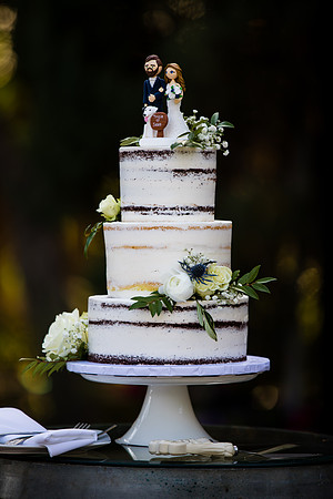 Wedding Photographer in Temecula, Lake Oak Meadows, Patricia & Sean-528