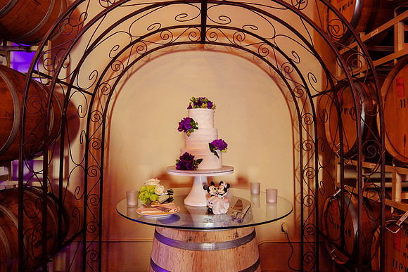 Ponte Winery by Photoquest Studio, Photography - Temecula Wedding Photographer