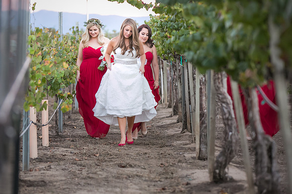 Beautiful wedding at Wiens Family Cellars Temecula Winery - Sarah & Shawn