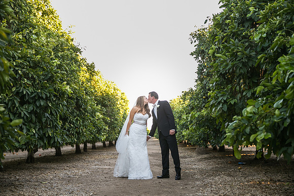 Beautiful wedding at Wiens Family Cellars Temecula Winery - Sarah & Shawn