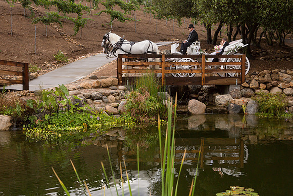 Wedding Photos at Serendipity Garden Weddings - Sandra and Robert-365
