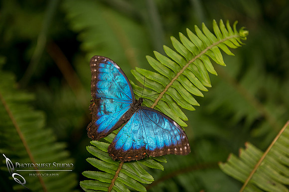San Diego Zoo March 2015-5