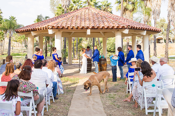 Micro Wedding by Wedding Photographer in Temecula, Rachel & Scott-255
