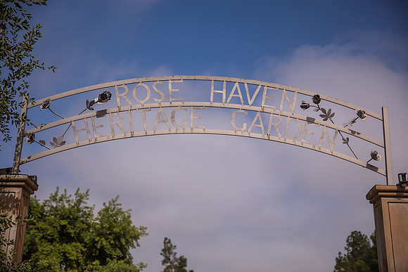 Rose Haven Heritage Garden Wedding Photo, Temecula, Orange County Photographer-2