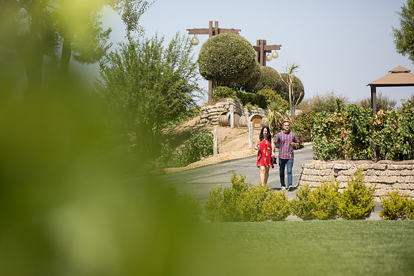 Surprise Proposal at Callaway, Temecula Winery by Wedding Photographer of Photoquest Studio - Tim & Megan