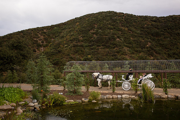 Wedding Photos at Serendipity Garden Weddings - Sandra and Robert-358