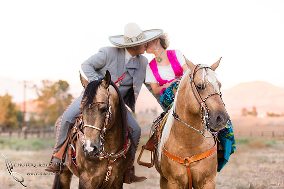 beautiful horses with soon to be bride and groom
