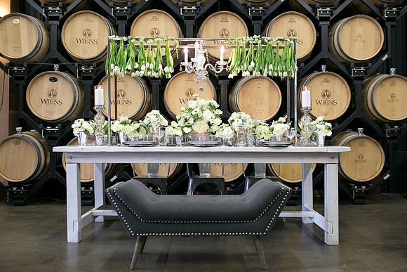 The same sex wedding Styled Shoot by Photoquest Studio, Photography at Wiens Winery (25)