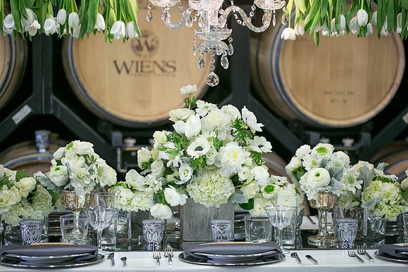 The same sex wedding Styled Shoot by Photoquest Studio, Photography at Wiens Winery (7)