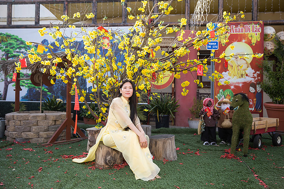 mother and daughter lunar new year viet tet photo orange county los angeles wedding photographer-48