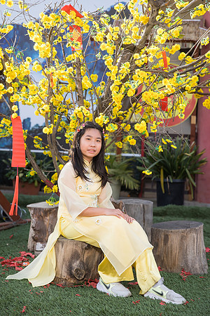 mother and daughter lunar new year viet tet photo orange county los angeles wedding photographer-39