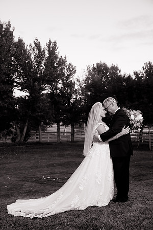 Orange County Photographer at Temecula Backyard Wedding, Karen & Chris-196