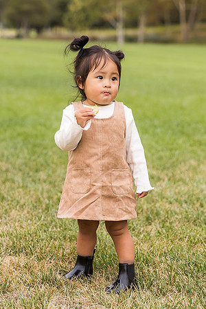 outdoor family photo in irvine by orange county wedding photographer tram bill (223)