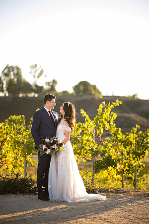 Temecula Wedding Photographer at Avensole Winery, Haley & Tristian-484