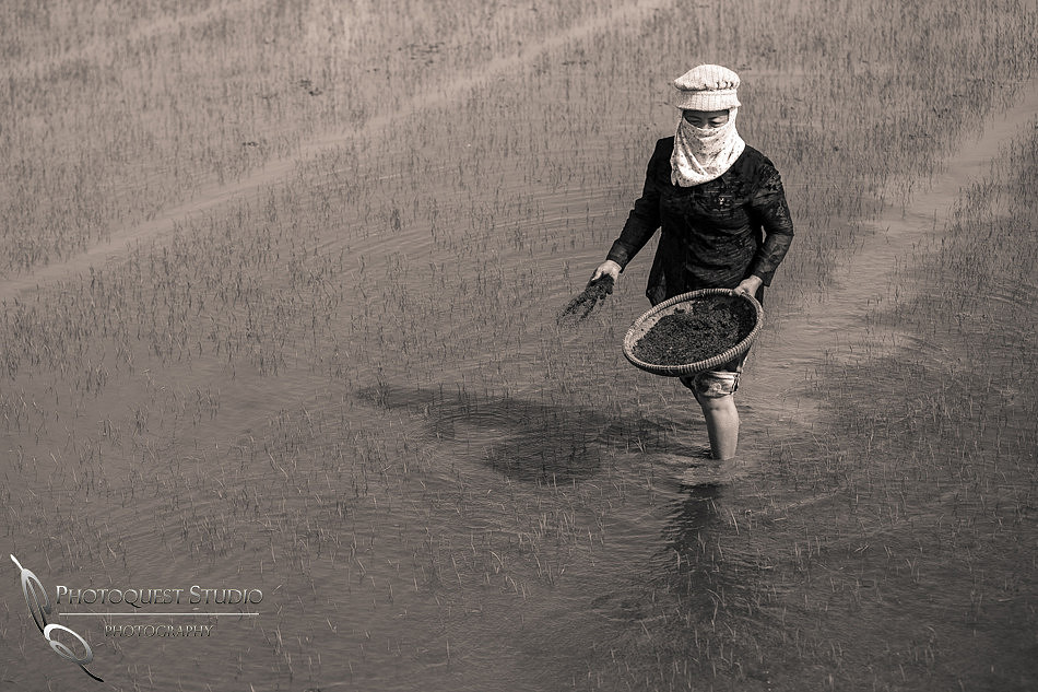 Hoi An, Hue - Vietnam photos-19