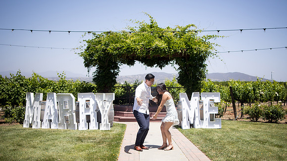 nina les orange county wedding photographer lorimar temecula winery surprise proposal-130