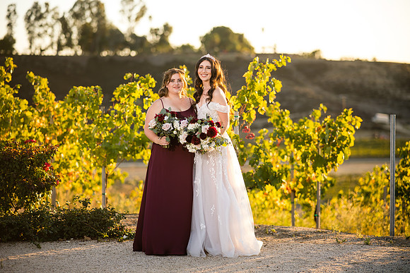 Temecula Wedding Photographer at Avensole Winery, Haley & Tristian-522